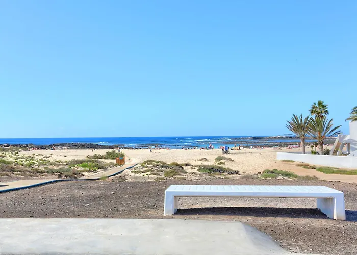 Silvic Cotillo